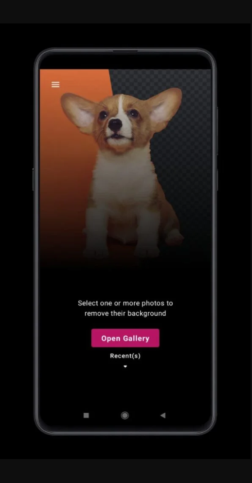 Select One Or More Photos To Remove Their Background
